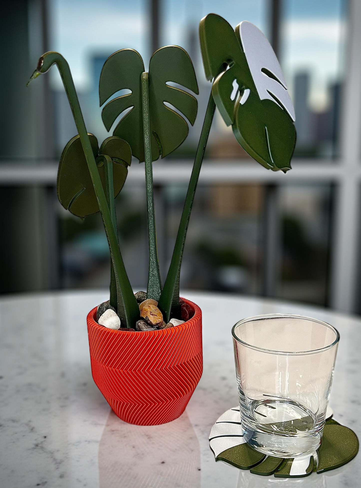 Monstera Coaster Plant with Custom Pot
