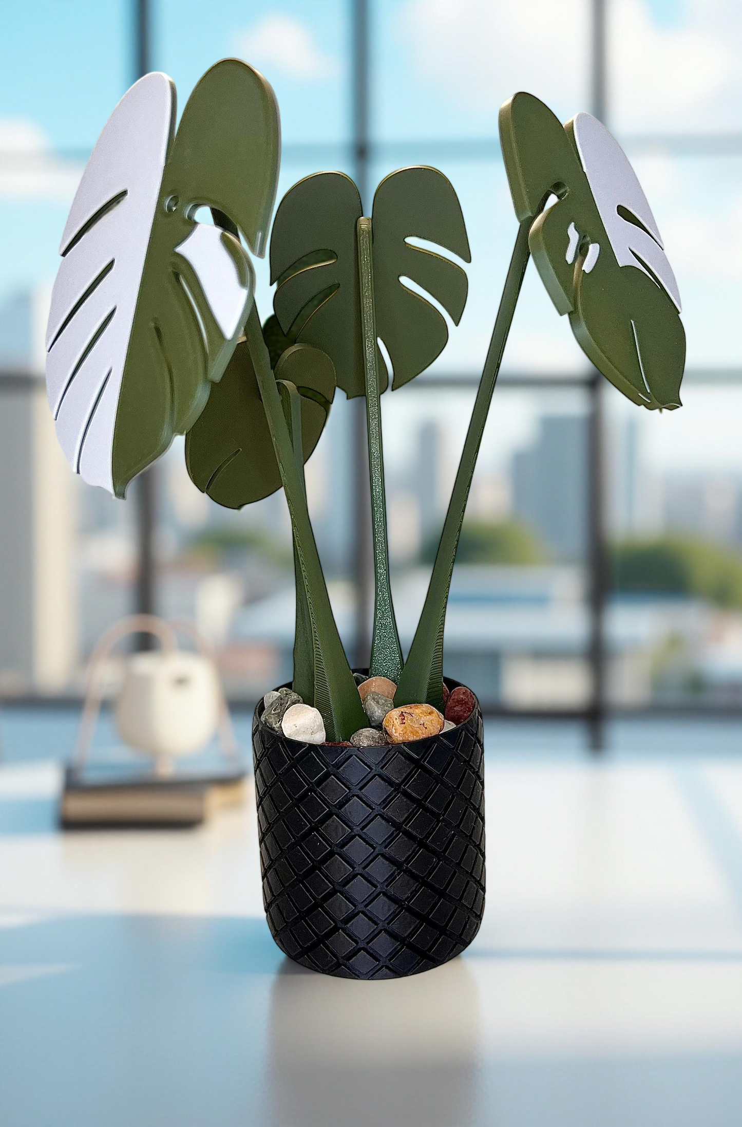 Monstera Coaster Plant with Custom Pot